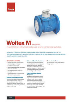 Woltex Commercial Class B Water Meter